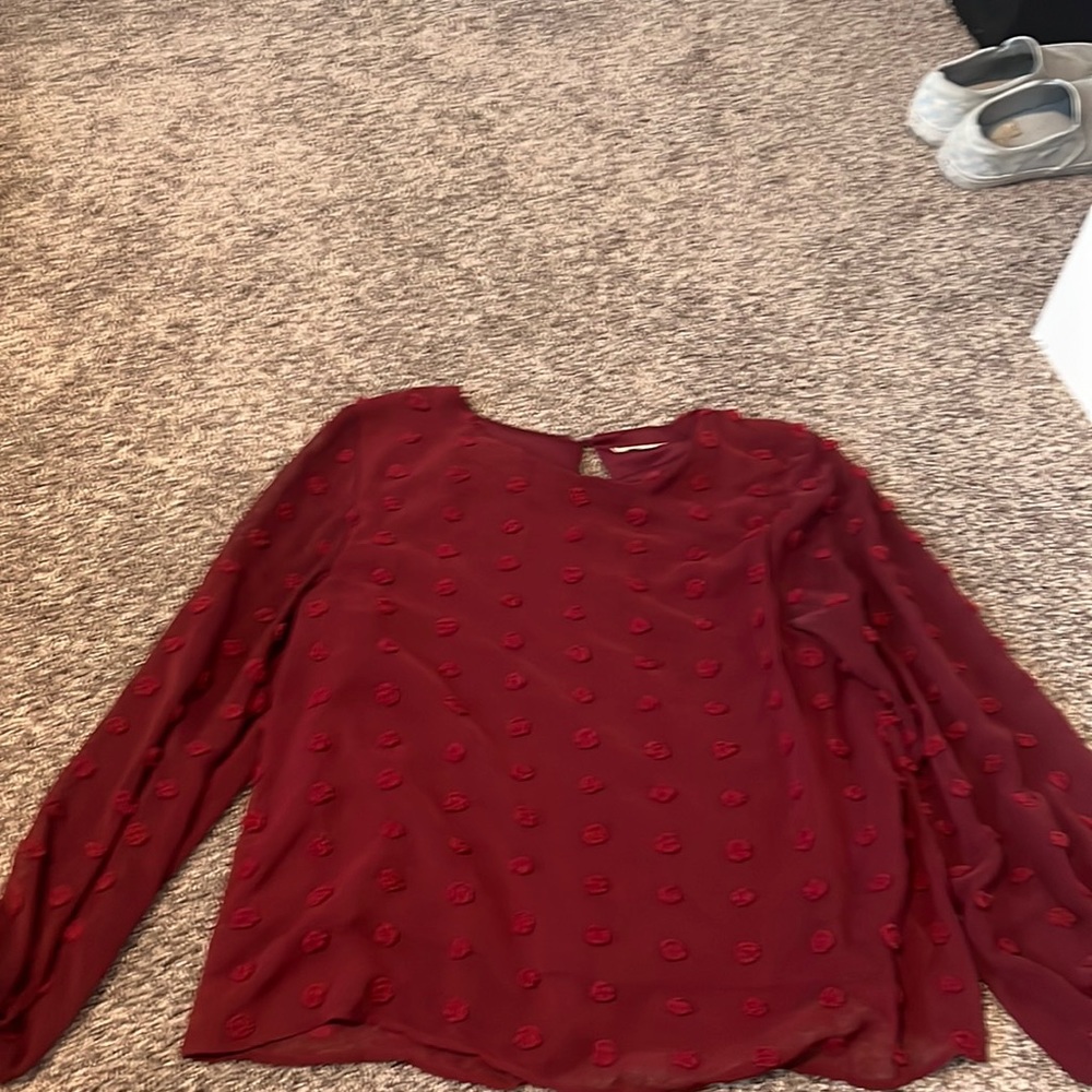 Dotted long sleeve blouse